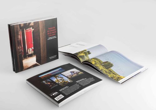 Regards en Lavaux : de la vigne à la cave